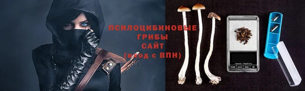 трава Верея